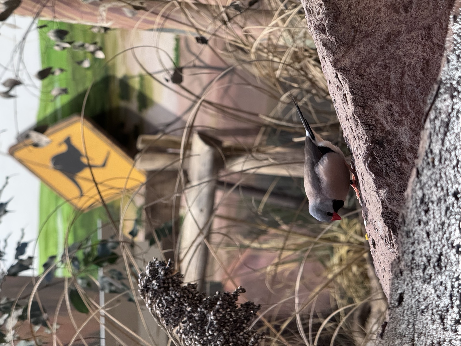 Tierpark Hagenbeck